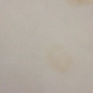 Meet your Posher, Assmaa